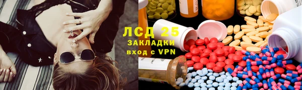 индика Очёр