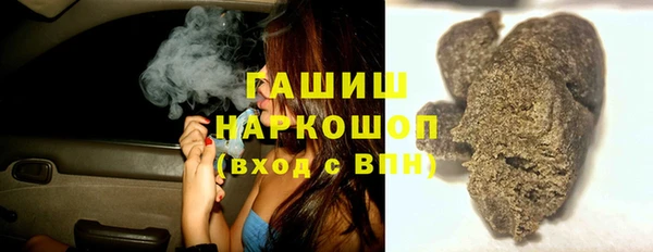 дживик Няндома