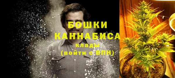 дживик Няндома