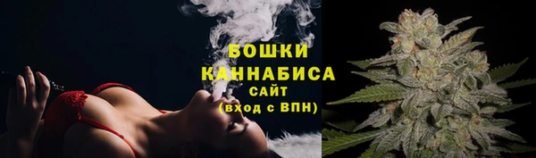 дживик Няндома