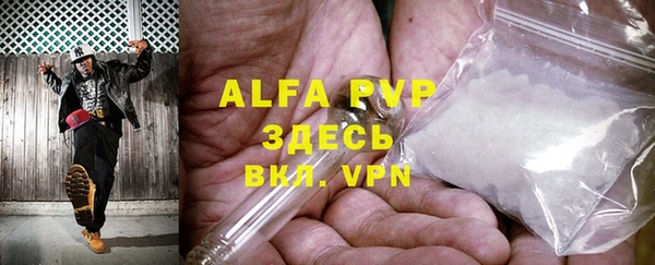 дживик Няндома