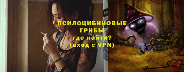 спиды Нефтекумск