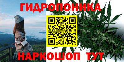 дмт Ирбит