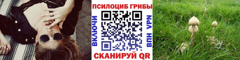 Псилоцибиновые грибы Psilocybe  mega ONION  Рассказово 