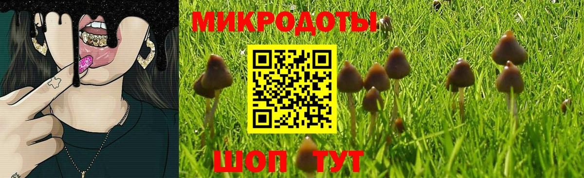 Галлюциногенные грибы Psilocybe  Галлюциногенные грибы прущие грибы  Рассказово  сколько стоит  Вход с VPN 